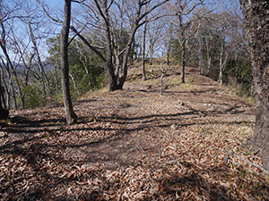 新高山城　続日本１００名城　No.173