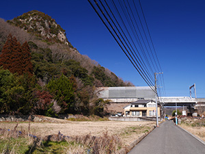 新高山城　続日本１００名城　No.173