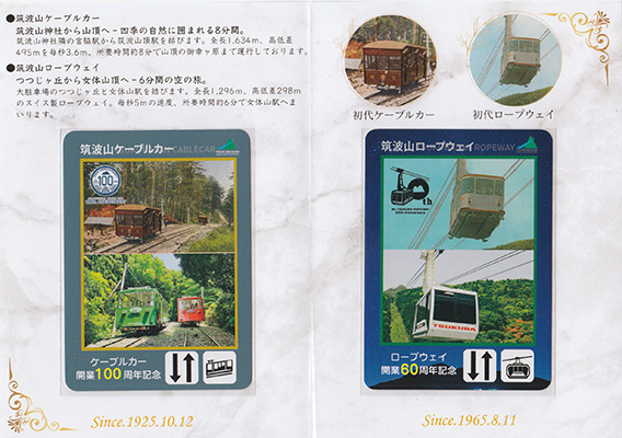 数奇なカードコレクター | 何でも集めたくなるのが男のサガ(性