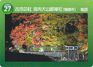 古木の杜　河内大山祇神社　佐賀県遺産カード27