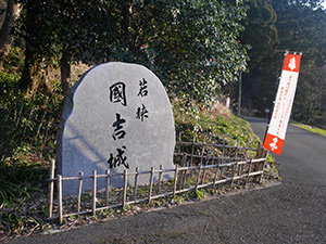 佐柿国吉城　続日本１００名城　No.139