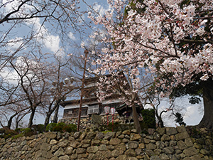 丸岡城（新Ver）　日本１００名城　No.36