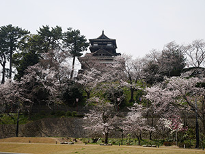 丸岡城（新Ver）　日本１００名城　No.36