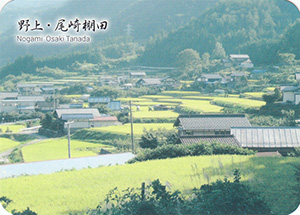 野上・尾崎棚田