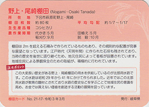 野上・尾崎棚田