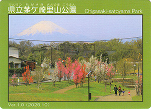 県立茅ヶ崎里山公園　Ver.1.0