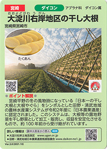 宮崎　大淀川右岸地区の干し大根　Ver.2.0