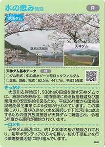 宮崎　大淀川右岸地区の干し大根　Ver.2.0