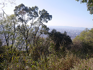 飯盛城　続日本１００名城　No.160