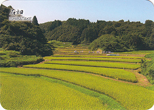 石畑（棚田百選）