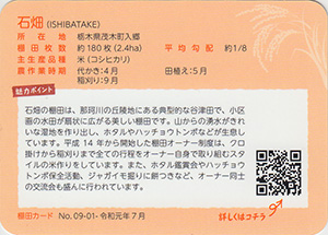 石畑（棚田百選）