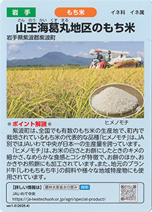 岩手　山王海葛丸地区のもち米　Ver.1.0