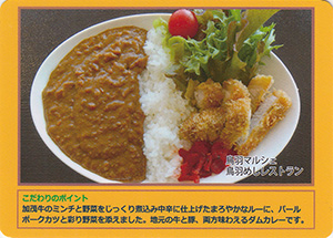 鳥羽河内ダムカレー　マルシェレストラン