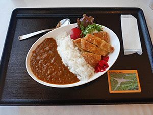 鳥羽河内ダムカレー　マルシェレストラン