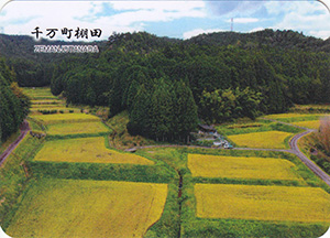 千万町棚田（つなぐ棚田遺産）