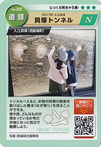いぶりの縄文コレクションカード