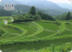 鳥の巣（棚田百選）