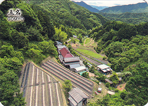 五名