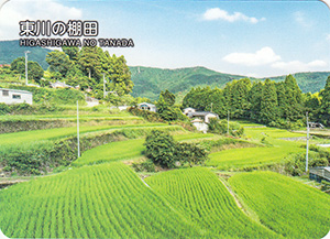 東川の棚田