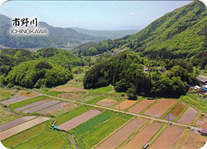 市野川（つなぐ棚田遺産）