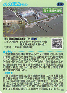茨城　霞ヶ浦用水地区の夏ネギ　Ver.1.0