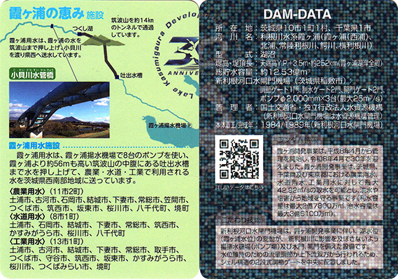 茨城　霞ヶ浦用水地区のレタス　霞ヶ浦開発管理30年.ver