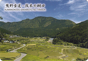 熊野古道・阪本の棚田