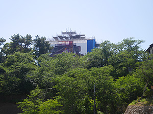 輪島桜虎 日本三國聖地巡礼スタンプラリー