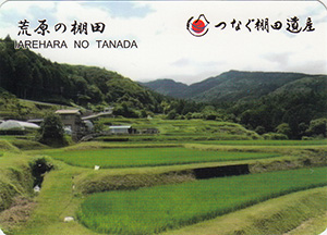 荒原の棚田