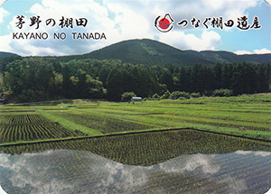 茅野の棚田