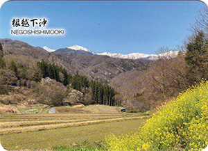 根越下沖(棚田百選・つなぐ棚田遺産)