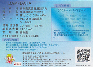 東郷ダム 2025サマーライトアップ