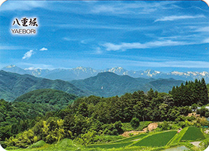八重堀