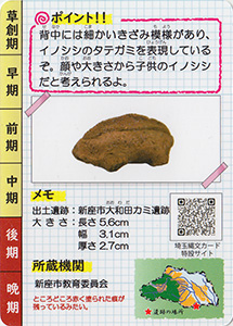 イノシシ形土製品 埼玉縄文カード020