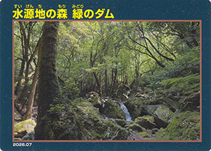 川上宣言30年記念 3つのダムカード