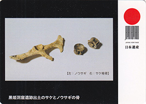 日本遺産「なんだ、コレは!」カード