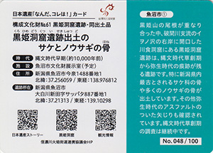 日本遺産「なんだ、コレは!」カード