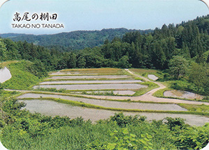 高尾の棚田