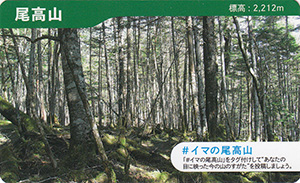 下伊那地区山カード