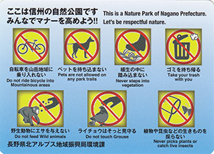 裏銀座のコマクサと立山　中部山岳国立公園