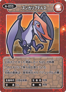 ズンガリプテルス　N-033