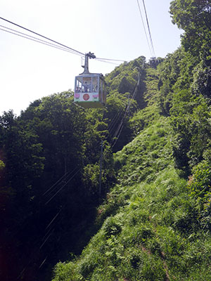 八幡山城