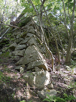 八幡山城