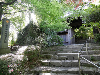 八幡山城