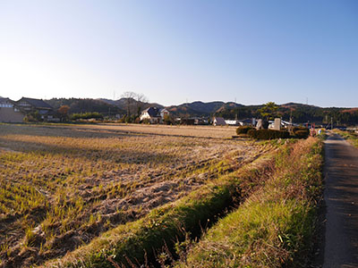 安養寺御坊