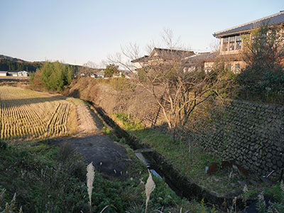 安養寺御坊