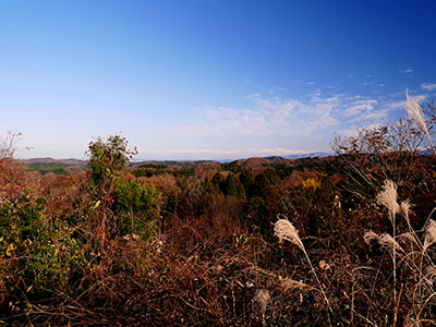 土山御坊・御峰城