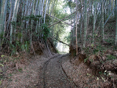 日の宮城