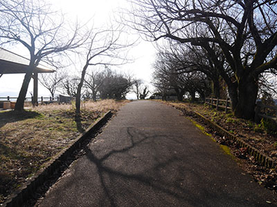 守山城