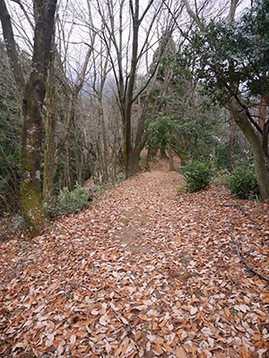 天神山城